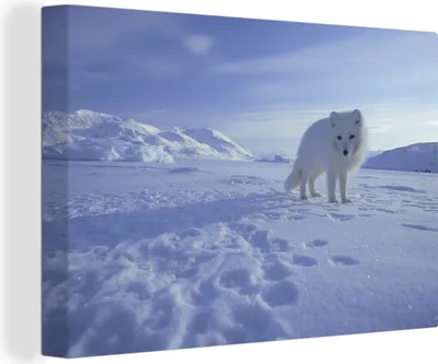 Produktbild von OneMillionCanvasses® - Leinwandbilder - 150x100 cm, Fuchs - Schnee - Berge, Wandbilder Kunstdruck Wanddekoration