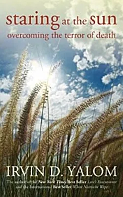 Produktbild von Staring at the Sun