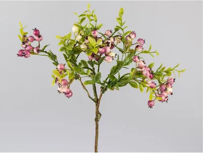 Produktbild von künstlicher Deko Beerenzweig H. 40cm creme pink Formano F25