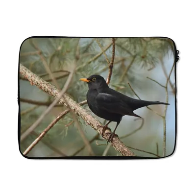 Produktbild von MuchoWow® Laptop Hülle 15 Zoll Vogel - Amsel - Zweige - Tiere Laptoptasche - Laptoptasche - Sleeve - Rundum-Schutz