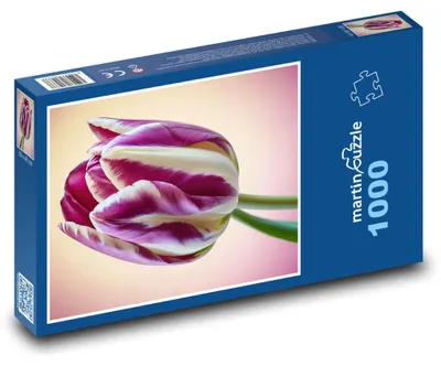 Obrázek produktu pro Puzzle 1000 Barevný tulipán ve váze - martinpuzzle