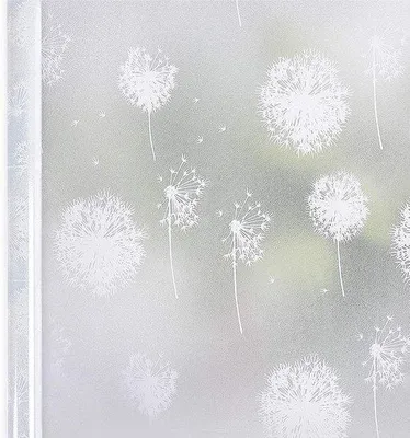 Image de Film dépoli avec motif de pissenlits - Protection de l'intimité - Pièce unique