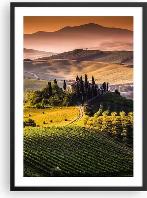 Produktbild von Gerahmtes Poster - Schwarzer Rahmen - Landwirtschaft Bauernhof Toskana Weinberg - 50x70 cm - Wand Bild - Wanddeko - Wandbilder - Wandposter - Bilderrahmen - Bilder - Kunstdruck - P2BPA50x70-2465