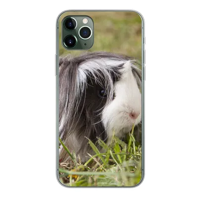 Produktbild von MuchoWow® Handyhülle Schutzhülle Hülle für iPhone 11 Pro Max Langhaar-Meerschweinchen Silikon Softcase Handy Hülle - Schutz