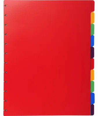 Image de Exacompta 10x Intercalaires PPs 10 pos pour porte-vues à anneaux assort 86003E