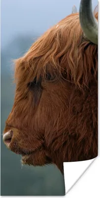 Produktbild von MuchoWow® Poster Schottische Highlander - Tiere - Nebel 20x40 cm - Plakat - Foto