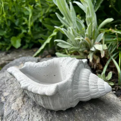 Produktbild von Betonfigur Muschel - naturgetreues, maritimes Dekoobjekt