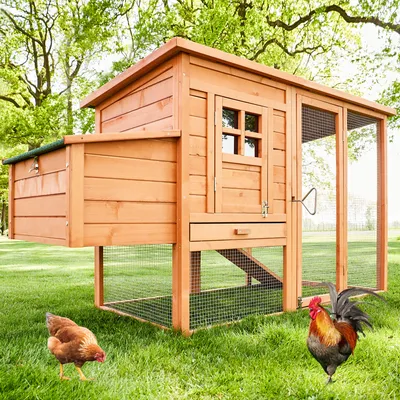 Produktbild von zooprinz Hühnerstall Modell | XXL | 182x103x75cm (BxHxT) | Klappdach | Freilaufgehege | Nistkasten | Wetterfest | Massivholz
