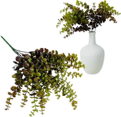 Produktbild von Buchsbaum - brauner Strauß aus Buchsbaumblättern 40 cm