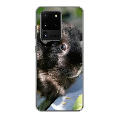 Produktbild von MuchoWow® Handyhülle Schutzhülle Hülle für Samsung Galaxy S20 Ultra Meerschweinchen im Garten Silikon Softcase Handy Hülle - Karteninhaber