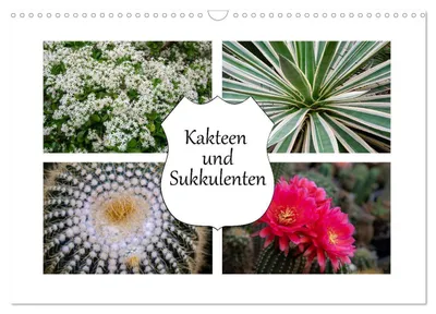 Produktbild von Kakteen und Sukkulenten (Wandkalender 2027 DIN A3 quer), CALVENDO Monatskalender