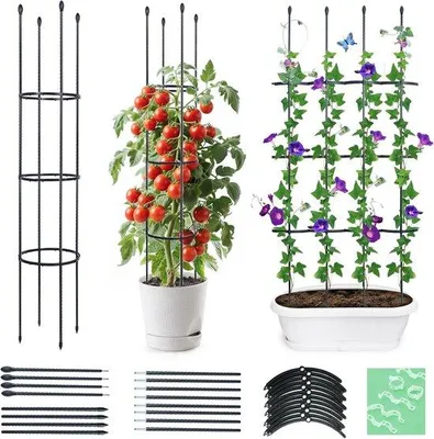 Produktbild von Famanu Pflanzenstütze 160 cm - mit 20 Pflanzenclips, stabil und elegant