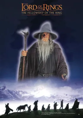 Produktbild von Herr der Ringe Poster Fellowship 68,5 x 98 cm