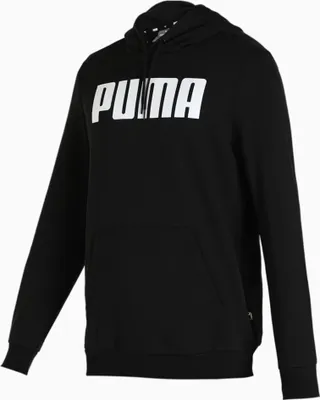 Image de Sweat-shirt Puma Sweat à capuche ess fl big 84723701