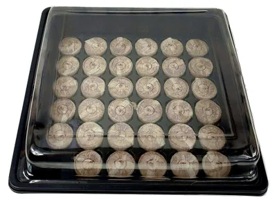 Produktbild von Anzuchtset Gewächshaus mit 35 Quelltabs