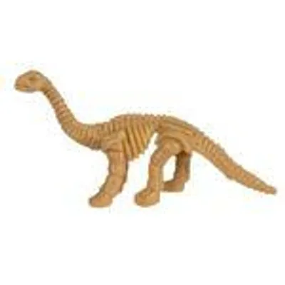 Produktbild von Dinosaurier Fossilien ca. 4 x 8 cm Ausgrabungsset Dino Skelett