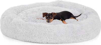 A small dog lying on a round, fluffy, light gray dog bed.