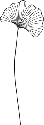 Produktbild von Wunderschöner Gartenstecker Ginkgoblatt ca. 118 cm - Gartendekoration