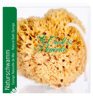 Produktbild von Naturschwamm Mittelmeer 11x11cm CROLL & DENECKE Geschenkbox Baumwollkordel