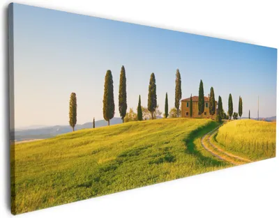 Produktbild von Wallario Premium Leinwandbild Villa in der Toskana in Größe 60 x 150 cm