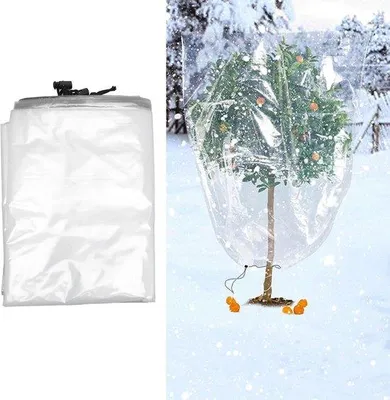 Productafbeelding van Winterbescherming voor planten - Transparante PE-folie - Multifunctioneel - Geschikt voor de tuin