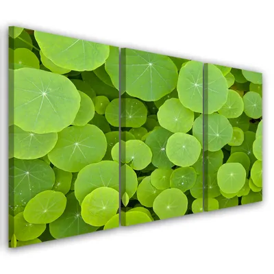 Image de Triptyque sur toile verte naturelle 90 x 60 cm Feeby verte, tableau mural prêt à accrocher