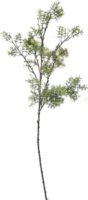 Produktbild von Rosmarinzweig 101 cm Kunstpflanze Flora