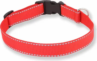Produktbild von Monkimau Hundehalsband Große Hunde Leuchtend aus Nylon
