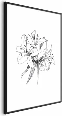 Produktbild von Posterpapier Poster - Drawn Flowers 29.7x42 cm Blumen b-A-0404-ao-a