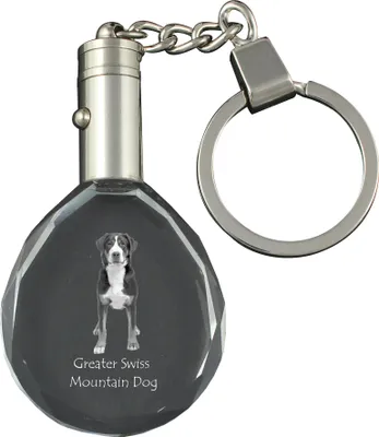 Produktbild von Grosser Schweizer Sennenhund - Anhänger mit einem Foto eines Hundes, Schlüsselanhänger aus Kristall in einer Geschenkbox, ein einzigartiges Geschenk von Art-Dog