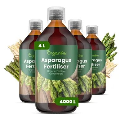 Zdjęcie produktu dla Szparagi Nawóz Płynny 4x1 L – 2-1-8 NPK – Do Zeleninu i Rośliny – Do Silne Pędy i Zdrowe Korzenie – Podporuje Wzrost i Vitalitu – Organifer
