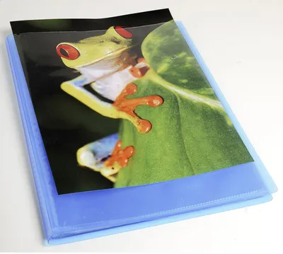 Immagine prodotto di Cartella EXACOMPTA, DIN A4, PP, blu
