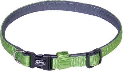 Produktbild von Nobby Halsband "Classic Preno" Mini L: 20-35 cm; B: 10 mm, grün