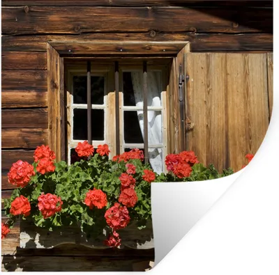 Produktbild von MuchoWow® Wandtattoo Wandsticker Wandaufkleber Fenster mit blühenden Geranien 100x100 cm Selbstklebend und Repositionierbar - Wierderverwendbar - Selbstklebend