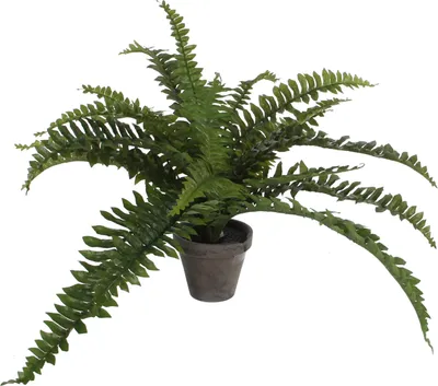Produktbild von Mica Decorations Boston Farn Kunstpflanze im Blumentopf Stan - H35 x Ø45 cm - Grün
