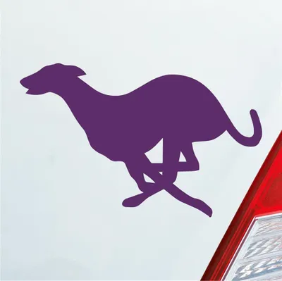 Produktbild von Auto Aufkleber Windhund Hund Dog Animal Tier 12x7,5 cm Lila Sticker Heckscheibenaufkleber