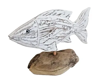 Produktbild von Deko Holz Fisch auf Treibholz Sockel Maritim Zierfisch Tier Figur Skulptur