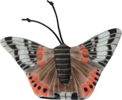Zdjęcie produktu dla Dzikie życie Kot Admirał Motyl