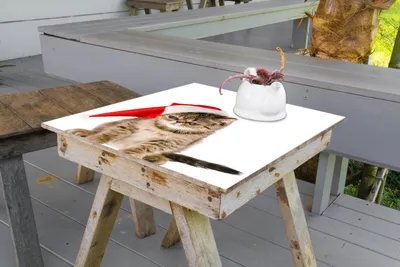 Produktbild von Wallario selbstklebende Möbelfolie/ Tischdecke für Innen und Außen, Größe: 100 x 100 cm - Ich hasse Weihnachten - mürrische Katze mit Weihnachtsmütze