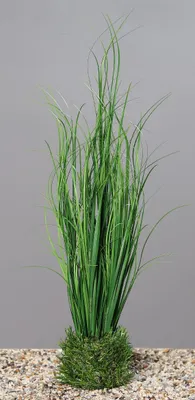 Produktbild von Kunstpflanze GRAS im GRAS. Grasbusch im Topf aus Gras ca 40cm.
