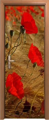 Produktbild von Türposter 70x200 cm Türaufkleber Türtapete Türfolie Klebefolie Pflanzen Blumen Mohn Blumen Felder