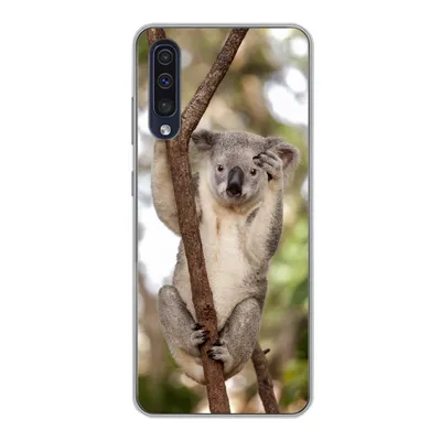 Produktbild von MuchoWow® Handyhülle Schutzhülle Hülle für Samsung Galaxy A30s Koala - Äste - Tier - Kinder - Jungen - Mädchen Silikon Softcase Handy Hülle - Karteninhaber