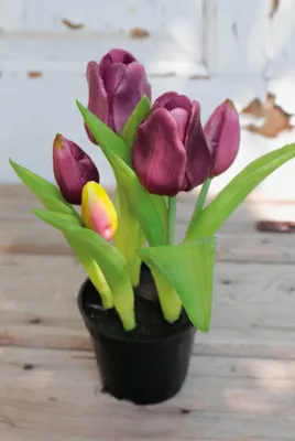Produktbild von artplants.de Künstliche Tulpe Caitlyn im Dekotopf, violett-grün, 25cm, Ø2-6cm - Kunststoffpflanze/Tulpe künstlich