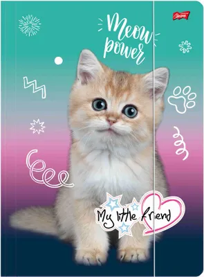 Produktbild von A4 Schulmappe mit Gummiband für Kinder CAT My Little Friend Kitty