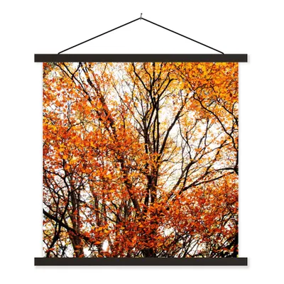 Produktbild von MuchoWow® Textilposter Wald - Herbst - Jahreszeiten 40x40 cm mit schwarzem Rahmen - Fotos