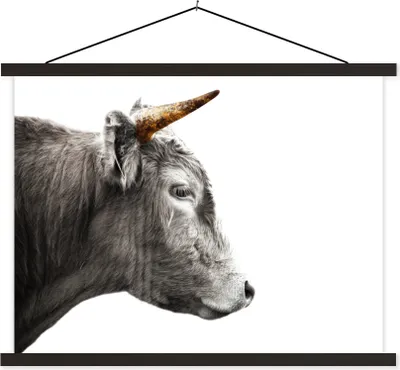 Produktbild von MuchoWow® Textilposter Schottisches Hochlandrind - Horn - Gold 60x45 cm mit schwarzem Rahmen - Poster Schlafzimmer