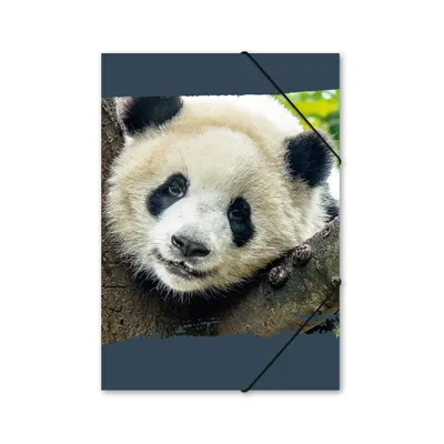 Produktbild von itenga Gummizugmappe Zeichenmappe A4 Motiv Panda