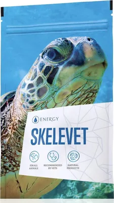 A close-up of a sea turtle's head on a product package.