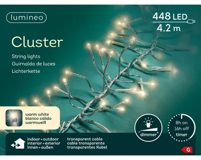 Produktbild von LED Clusterbeleuchtung Outdoor L.420 cm 448L transparent/warm weiss