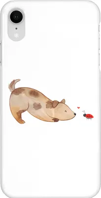 Produktbild von Mr. & Mrs. Panda Iphone XR Handyhülle Hund Marienkäfer - Weiß - Geschenk, Neugierig, Mischlingshund, Premium Kunststoff, Handy Case, Mischlinghund, Sprüche